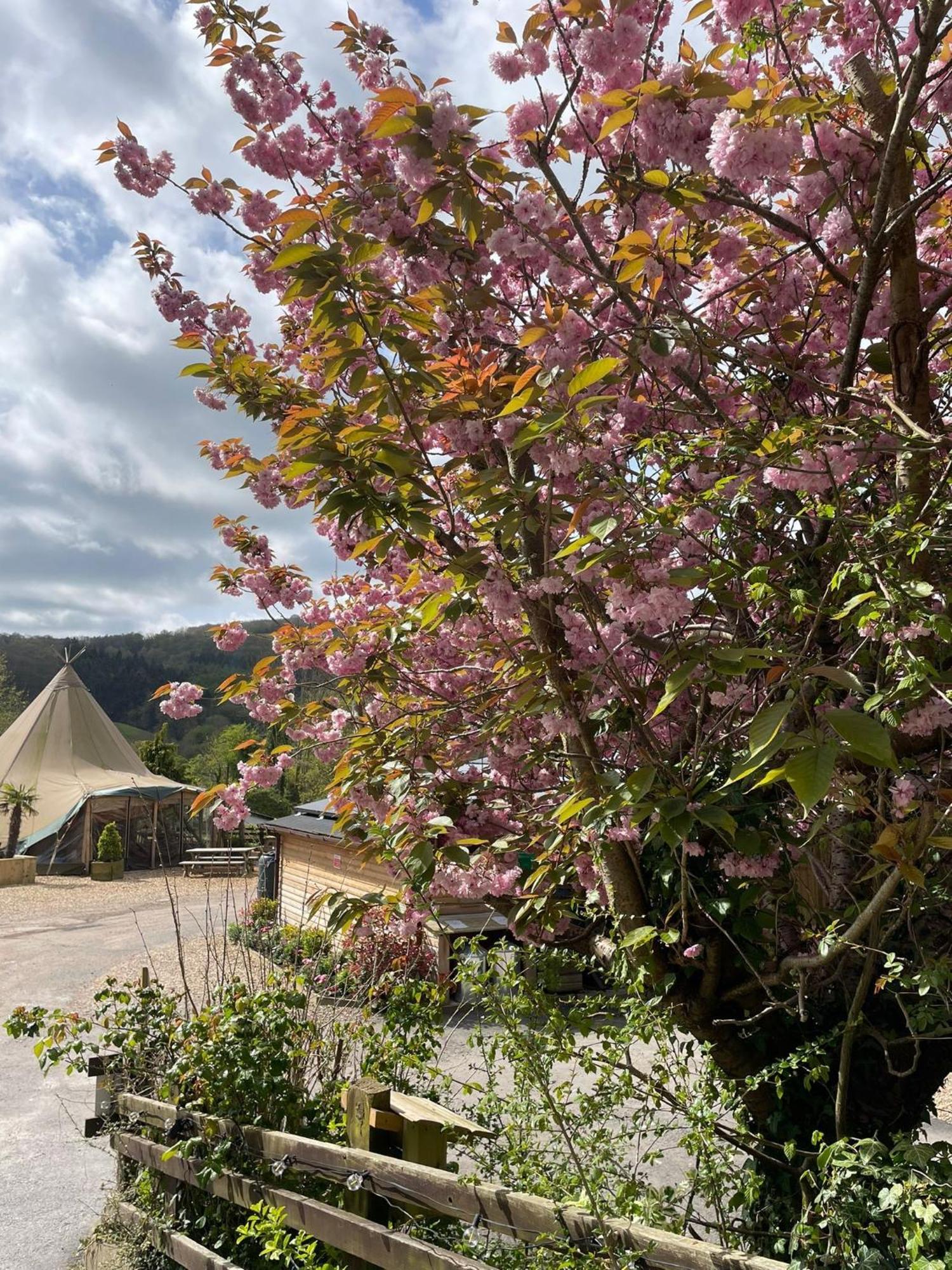 Herons Retreat Hot Tub Resort 4*