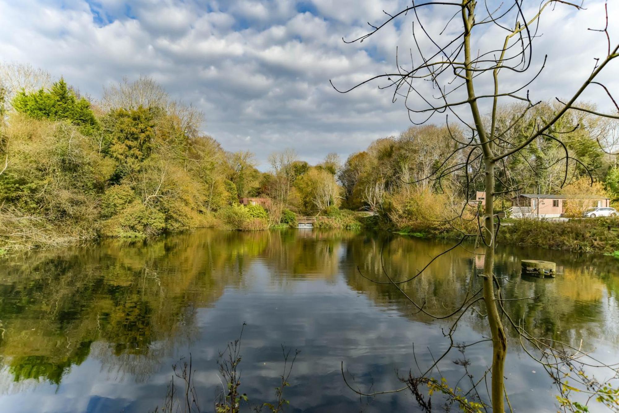 Herons Retreat Hot Tub Caerwys